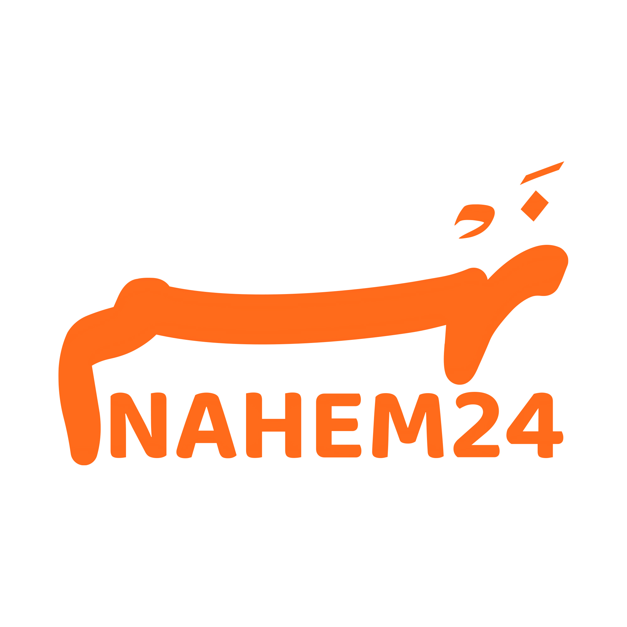 Nahem Logo